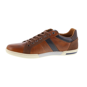 Op het randje moeilijk tevreden te krijgen Dempsey Gaastra sneaker - cognac online kopen in de webshop van Paris Londres |  CONNOR LEA M