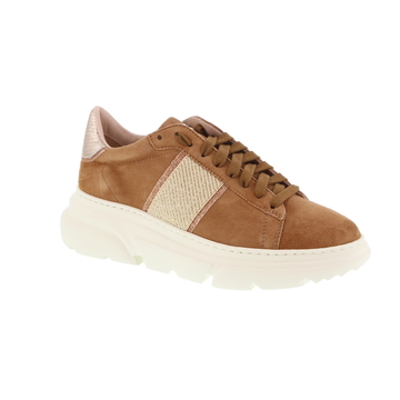 Stokton sneaker - cognac online kopen in de webshop van Paris Londres |  834-D