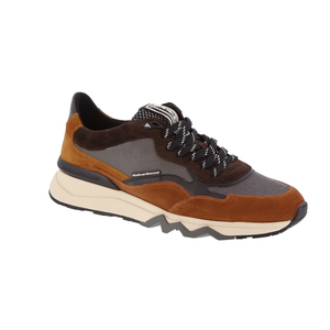 Floris Van Bommel sneaker cognac