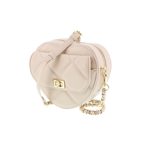 Steve Madden crossbody wit