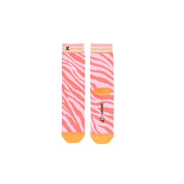 133203_1.png