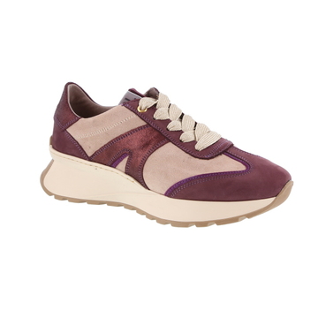 Sneaker winkel hasselt 2025