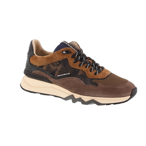 Floris Van Bommel sneaker cognac