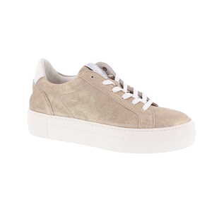 Floris Van Bommel sneaker goud