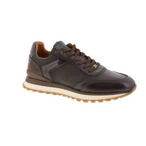 Ambitious sneaker bruin