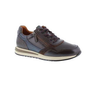 Ambitious sneaker bruin