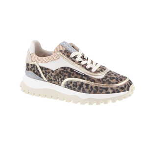Floris van Bommel sneaker multi