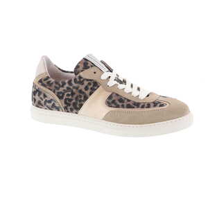 Floris van Bommel sneaker multi