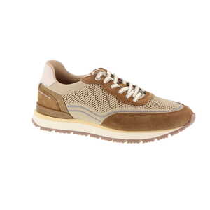 Ambitious sneaker camel