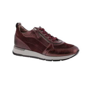 Dl Sport sneaker bordeaux