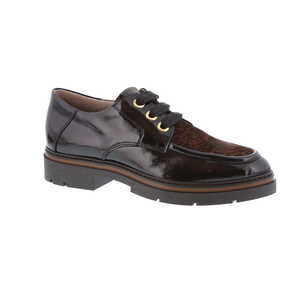 Dl Sport moliere multi