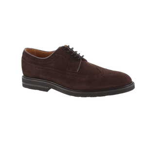 Ctwlk moliere bruin