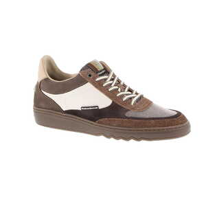 Floris van Bommel sneaker taupe
