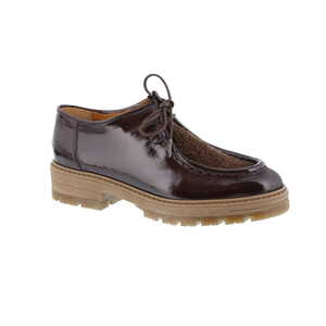 Ctwlk moliere bruin
