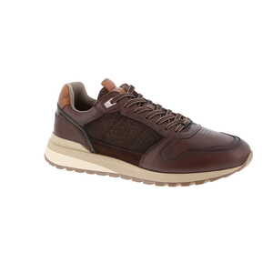 Ambitious sneaker bruin
