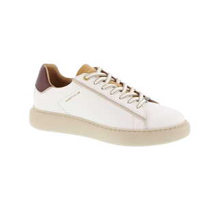Ambitious sneaker wit