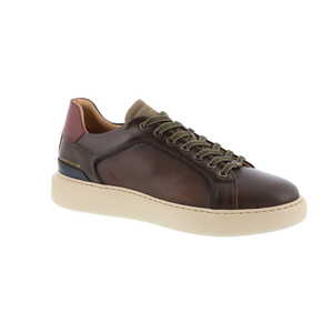 Ambitious sneaker bruin