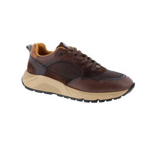 Ambitious sneaker bruin