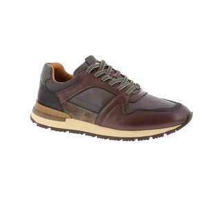 Ambitious sneaker bruin