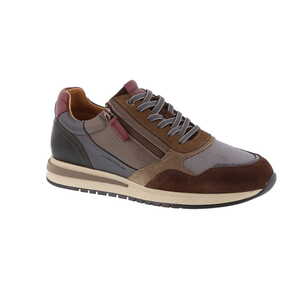 Ambitious sneaker multi