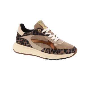Floris van Bommel sneaker taupe