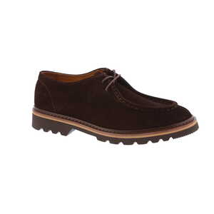 Gen.x'4 moliere bruin