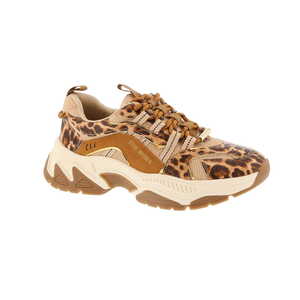 Steve Madden sneaker multi