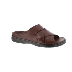 Fernando Baldassarri muiltje bruin