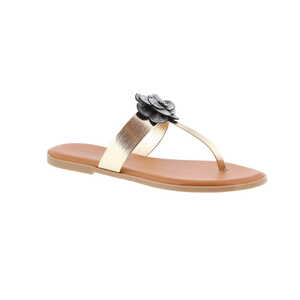 Alexia Barreca muiltje goud