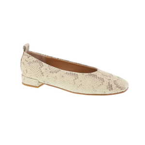 Morgane ballerina multi - snake