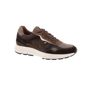 Australian sneaker bruin