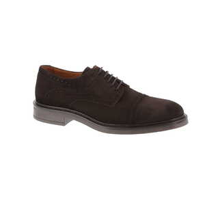 Gen.x'4 moliere bruin