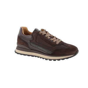 Ambitious sneaker bruin