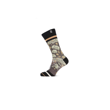 151050_2.png