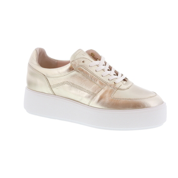 Nubikk sneaker - goud online kopen in de webshop van Paris Londres | ELISE  BLOOM