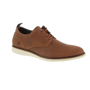 Bullboxer moliere camel